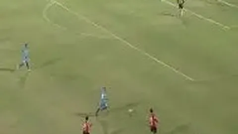 “十五运会残特奥会吉祥物“喜洋洋”与“乐融融”亮相，欢乐海豚展翅助阵——央视新闻客户端公布盛况”