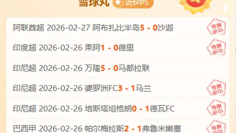 “卡塔尔联霸主一月不败传奇，揭秘数据背后的夺冠先机！”
